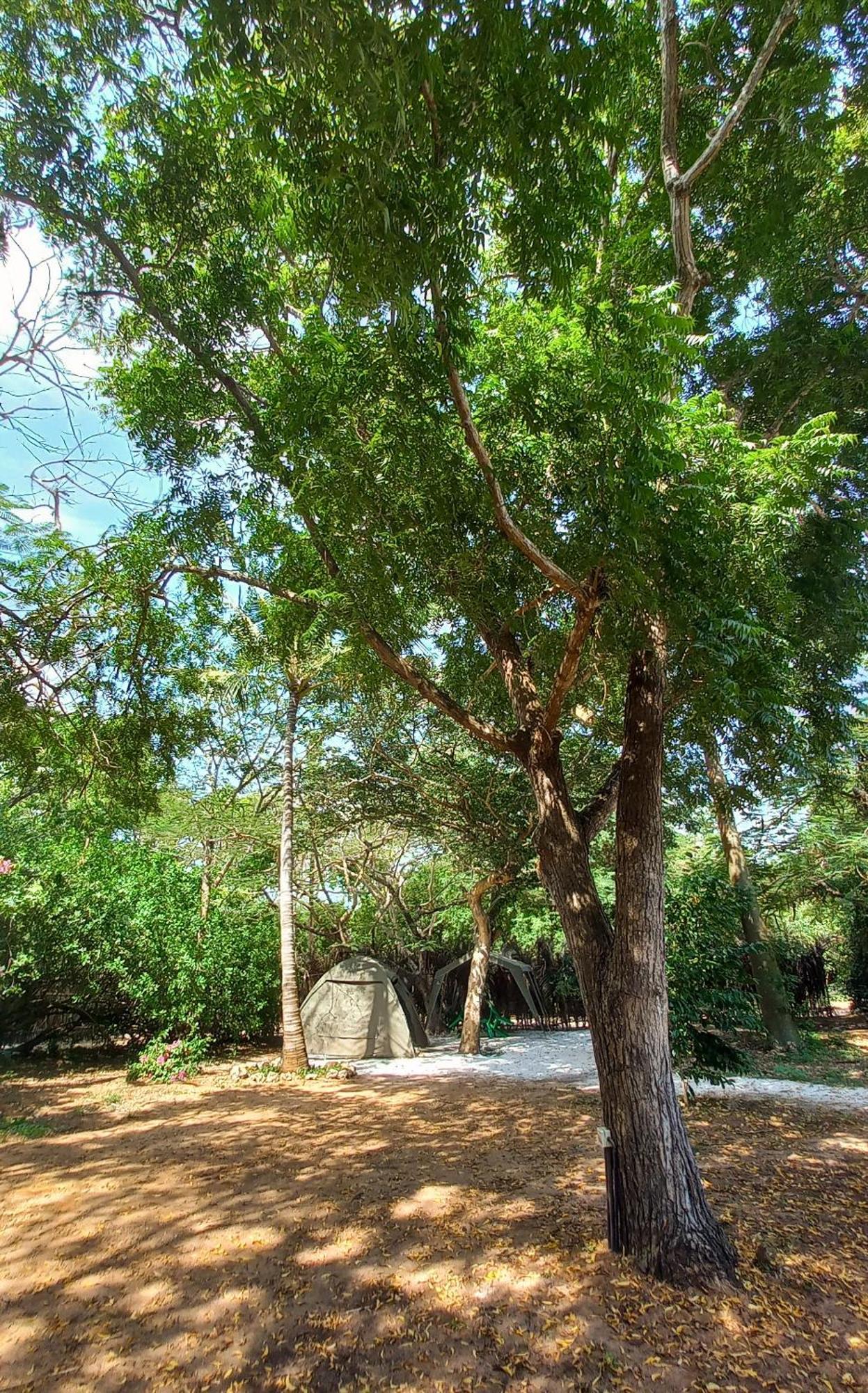 Bamba Kofi Lodge Watamu Exterior photo