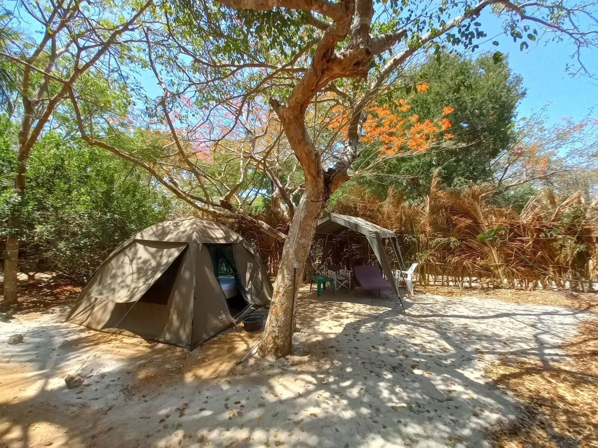 Bamba Kofi Lodge Watamu Room photo